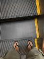 Escalator