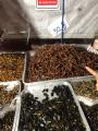 Chapulines