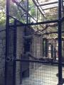 Cage
